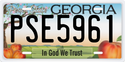 GA license plate PSE5961