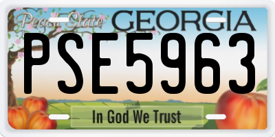 GA license plate PSE5963