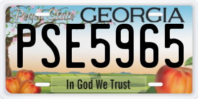 GA license plate PSE5965