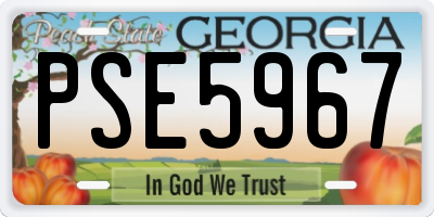 GA license plate PSE5967
