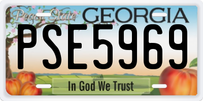 GA license plate PSE5969