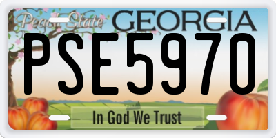 GA license plate PSE5970