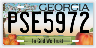GA license plate PSE5972