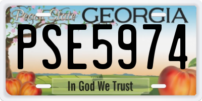 GA license plate PSE5974