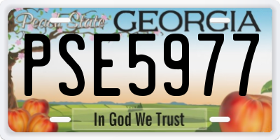 GA license plate PSE5977