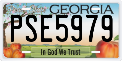 GA license plate PSE5979