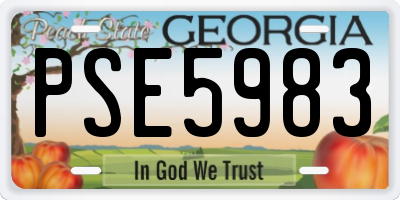 GA license plate PSE5983