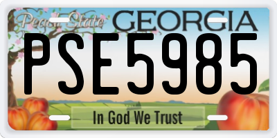 GA license plate PSE5985