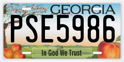 GA license plate PSE5986