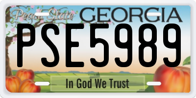 GA license plate PSE5989