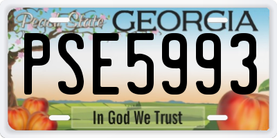 GA license plate PSE5993