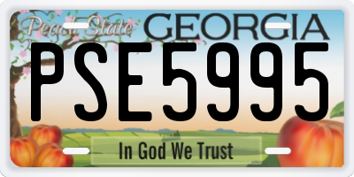 GA license plate PSE5995
