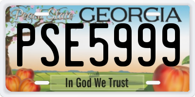 GA license plate PSE5999