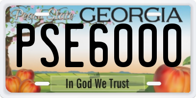 GA license plate PSE6000