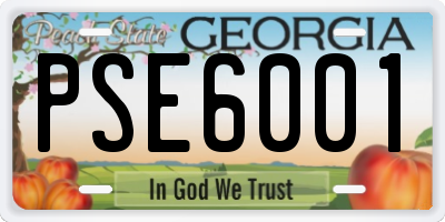 GA license plate PSE6001