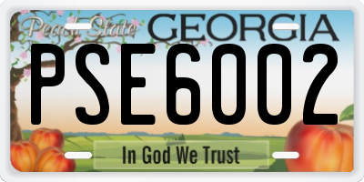 GA license plate PSE6002