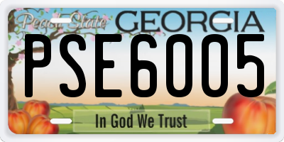 GA license plate PSE6005