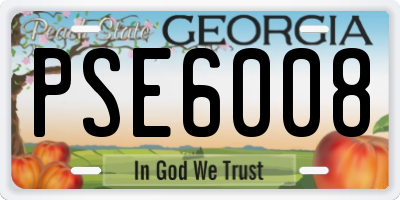 GA license plate PSE6008