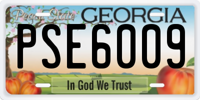 GA license plate PSE6009