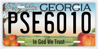 GA license plate PSE6010