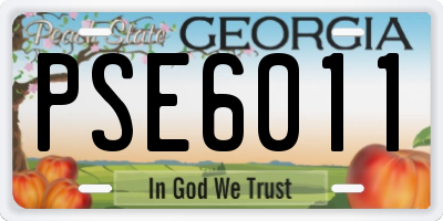 GA license plate PSE6011