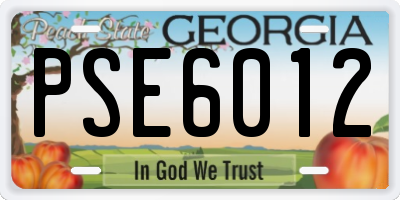 GA license plate PSE6012