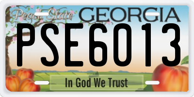 GA license plate PSE6013