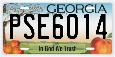GA license plate PSE6014