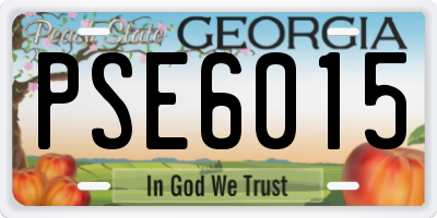 GA license plate PSE6015