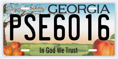 GA license plate PSE6016