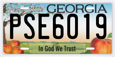 GA license plate PSE6019