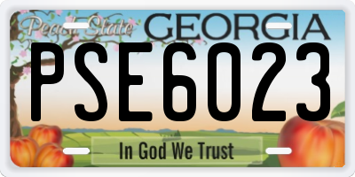 GA license plate PSE6023
