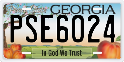 GA license plate PSE6024