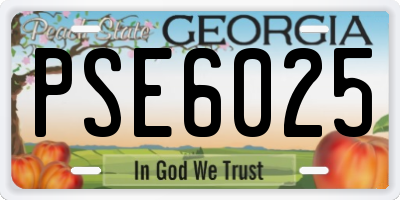 GA license plate PSE6025