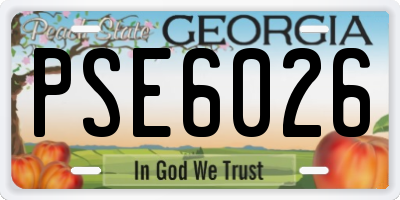 GA license plate PSE6026