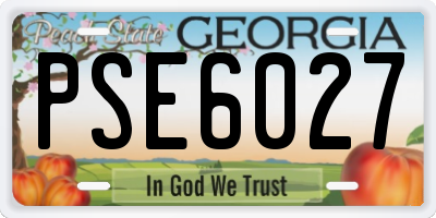 GA license plate PSE6027