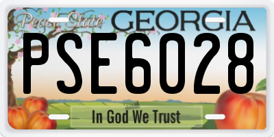GA license plate PSE6028