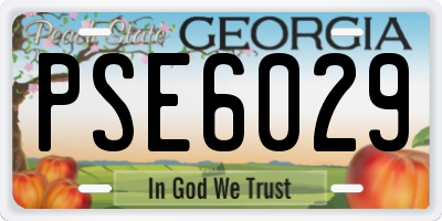 GA license plate PSE6029
