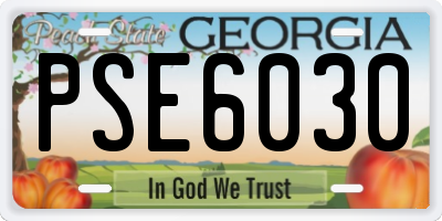 GA license plate PSE6030