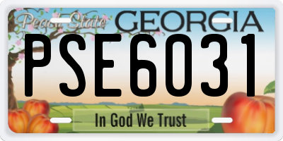GA license plate PSE6031