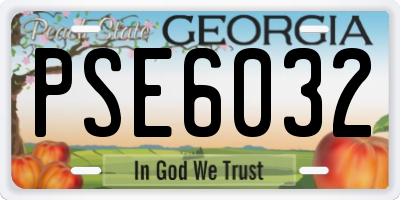 GA license plate PSE6032