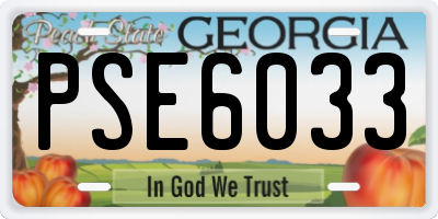 GA license plate PSE6033