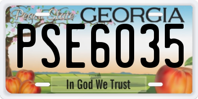 GA license plate PSE6035