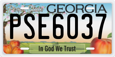 GA license plate PSE6037