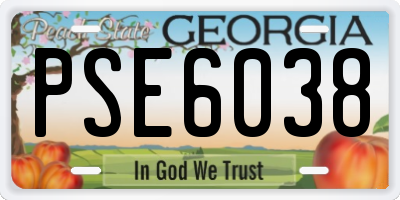 GA license plate PSE6038