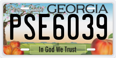 GA license plate PSE6039