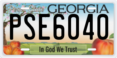GA license plate PSE6040