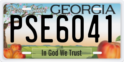 GA license plate PSE6041