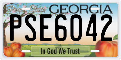GA license plate PSE6042