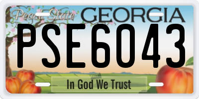 GA license plate PSE6043